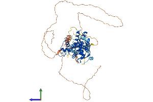 Protein Structure (PS) image for Nuclear Receptor Subfamily 4, Group A, Member 2 (NR4A2) (AA 1-598) protein (His tag) (ABIN7556903)