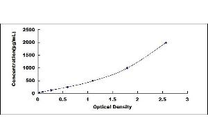 Typical standard curve (TIM3 ELISA Kit)