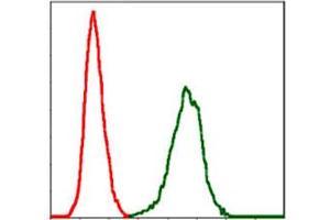 Flow cytometric analysis of NIH/3T3 cells using SERPINE1 monoclonal antobody, clone 1D5  (green) and negative control (red). (PAI1 Antikörper)