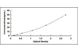 CHRM3 ELISA Kit