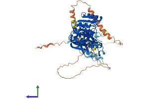 Protein Structure (PS) image for THUMP Domain Containing 2 (THUMPD2) (AA 1-503) protein (His tag) (ABIN7544407)