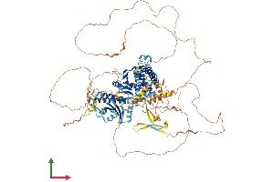 Protein Structure (PS) image for Folliculin Interacting Protein 2 (FNIP2) (AA 1-1114) protein (His tag) (ABIN7553933)