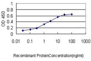 Detection limit for recombinant GST tagged BAG1 is approximately 0. (BAG1 Antikörper  (AA 241-345))
