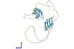 Protein Structure (PS) image for Heterogeneous Nuclear Ribonucleoprotein H3 (2H9) (HNRNPH3) (AA 1-346) protein (His tag) (ABIN7548349)