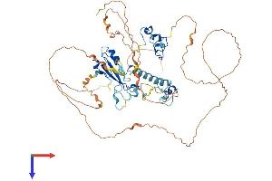 MBD1 Protein (AA 1-605) (His tag)