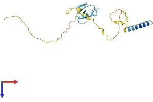 RNF185 Protein (AA 1-192) (His tag)