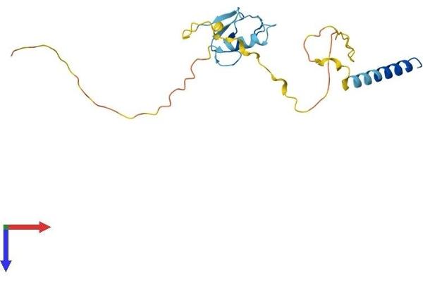 RNF185 Protein (AA 1-192) (His tag)
