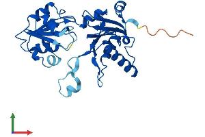 Protein Structure (PS) image for DPH5 Homolog (DPH5) (AA 1-285) protein (His tag) (ABIN7547122)