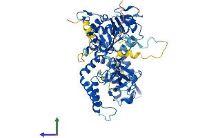 Protein Structure (PS) image for 5'-Nucleotidase, Cytosolic II (NT5C2) (AA 1-561) protein (His tag) (ABIN7551778)
