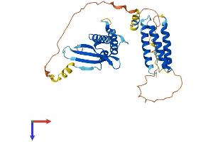 SNX15 Protein (AA 1-337) (His tag)