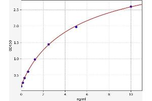 Typical standard curve (BANP ELISA Kit)