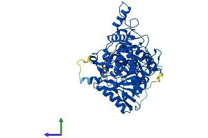 Protein Structure (PS) image for Glutaminyl-tRNA Synthase (Glutamine-Hydrolyzing)-Like 1 (QRSL1) (AA 1-528) protein (His tag) (ABIN7547804)
