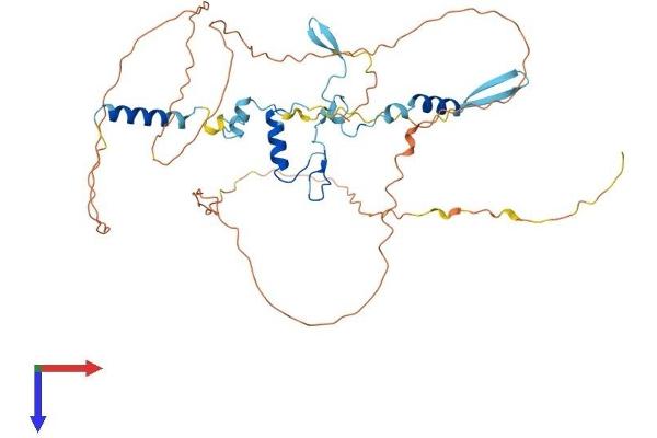 GPATCH4 Protein (AA 1-446) (His tag)
