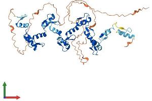 AlphaFold protein structure predicition of Human Recombinant ZNF329 Protein, UniprotID Q86UD4