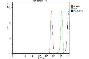 Flow Cytometry analysis of U251 cells using anti-POGLUT3 antibody (ABIN7825696). (POGLUT3 (AA 48-499) Antikörper)