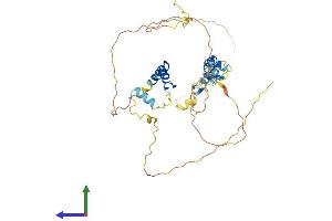 AlphaFold protein structure predicition of Human Recombinant ZNF385D Protein, UniprotID Q9H6B1
