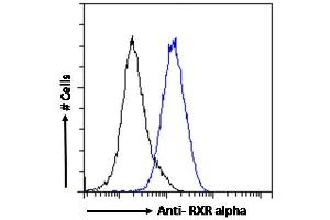 ABIN185295 Flow cytometric analysis of paraformaldehyde fixed MCF7 cells (blue line), permeabilized with 0. (Retinoid X Receptor alpha Antikörper  (AA 14-28))
