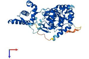 SPO11 Protein (AA 1-396) (His tag)