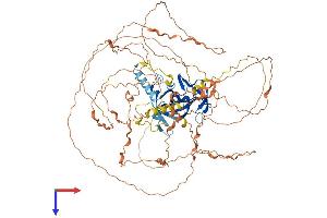 BAHD1 Protein (AA 1-780) (His tag)