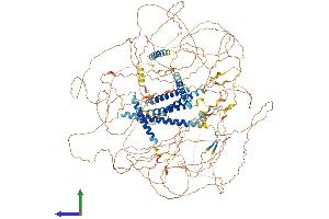 Protein Structure (PS) image for AT-Hook Transcription Factor (AKNA) (AA 1-1404) protein (His tag) (ABIN7564276)