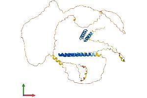 Protein Structure (PS) image for Periphilin 1 (PPHLN1) (AA 1-458) protein (His tag) (ABIN7555060)