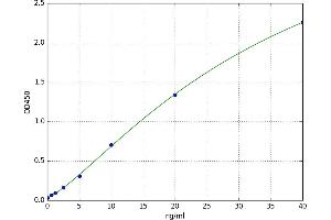 A typical standard curve