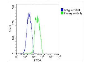 Overlay histogram showing HepG2 cells stained with (ABIN650694 and ABIN2839117)(green line). (VEGFC Antikörper)