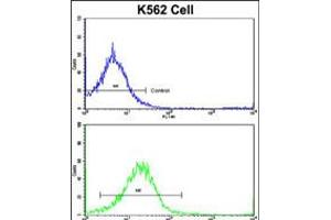 Flow cytometric analysis of K562 cells using UNC5C Antibody (bottom histogram) compared to a negative control cell (top histogram). (Unc5c Antikörper  (AA 188-217))