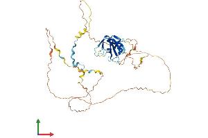 AlphaFold protein structure predicition of Human Recombinant CLNK Protein, UniprotID Q7Z7G1 (CLNK Protein (AA 1-428) (His tag))