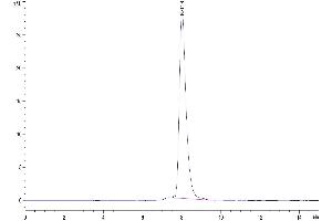 The purity of Biotinylated Mouse OX40 is greater than 95 % as determined by SEC-HPLC. (TNFRSF4 Protein (AA 20-211) (His-Avi Tag,Biotin))