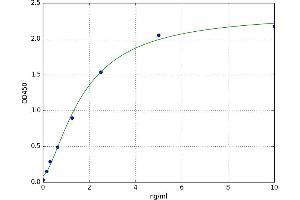 Aralkylamine N-Acetyltransferase (AANAT) ELISA Kit