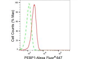 Flow cytometric analysis of PEBP1 expression in HeLa cells using PEBP1 antibody (ABIN7799790), 1:2,000). (Rekombinanter PEBP1 Antikörper)