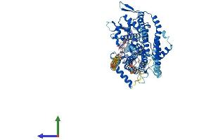 Protein Structure (PS) image for Lipase Maturation Factor 2 (LMF2) (AA 1-702) protein (His tag) (ABIN7559126)