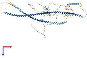 HAP1 Protein (AA 1-671) (His tag)