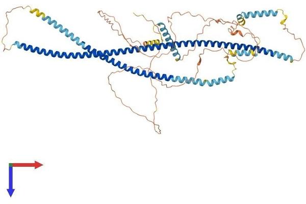 HAP1 Protein (AA 1-671) (His tag)