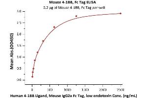 Immobilized Mouse 4-1BB, Fc Tag (ABIN2870706,ABIN2870707) at 2 μg/mL (100 μL/well) can bind Human 4-1BB Ligand, Mouse IgG2a Fc Tag, low endotoxin (ABIN5954978,ABIN6253610) with a linear range of 20-312 ng/mL (QC tested). (CD137 Protein (AA 24-211) (Fc Tag))