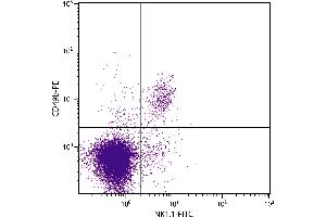 C57BL/6 mouse splenocytes were stained with Rat Anti-Mouse CD49b-PE. (ITGA2 Antikörper  (PE))