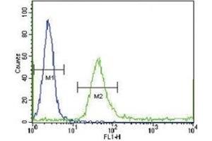 IGFBP4 antibody flow cytometric analysis of WiDr cells (green) compared to a negative control (blue). (IGFBP4 Antikörper  (AA 66-92))