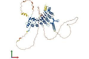 AlphaFold protein structure predicition of Mouse Recombinant Lrrc71 Protein, UniprotID Q9D3W5