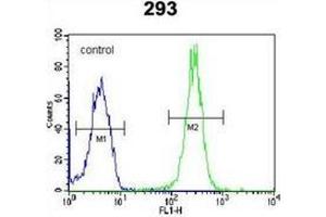 Flow cytometric analysis of 293 cells using LRRC57 Antibody (C-term) Cat. (LRRC57 Antikörper  (C-Term))