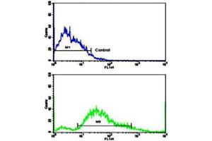 Flow cytometric analysis of SK-BR-3 cells using PDGFRB polyclonal antibody (bottom histogram) compared to a negative control cell (top histogram). (PDGFRB Antikörper  (N-Term))