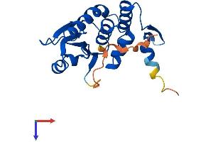 DUSP14 Protein (AA 1-198) (His tag)