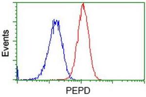 Flow cytometric Analysis of Hela cells, using anti-PEPD antibody (ABIN2453446), (Red), compared to a nonspecific negative control antibody (TA50011), (Blue). (PEPD Antikörper)