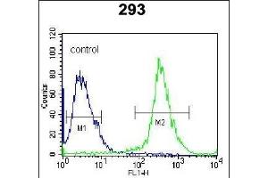 Rat MKP3 Antibody (ABIN1882185 and ABIN2842276) flow cytometric analysis of 293 cells (right histogram) compared to a negative control cell (left histogram). (DUSP6 Antikörper)