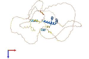 EVX2 Protein (AA 1-475) (His tag)