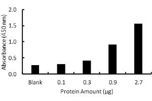 Transcription factor assay of PPAR-delta from purified recombinate PPAR-delta protein with PPAR-delta TF Activity Assay Kit. (PPARD ELISA Kit)