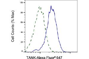 Validation of TANK knockdown using flow cytometry. (TANK Antikörper)