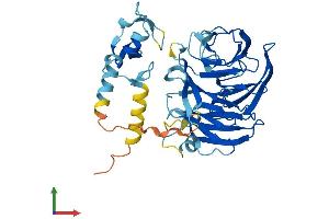 Protein Structure (PS) image for NHL Repeat Containing 1 (NHLRC1) (AA 1-395) protein (His tag) (ABIN7554717)