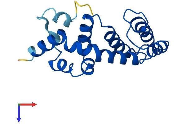 RGS13 Protein (AA 1-159) (His tag)