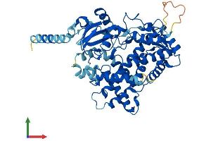 Protein Structure (PS) image for Cytochrome P450, Family 2, Subfamily D, Polypeptide 7 Pseudogene 1 (CYP2D7P1) (AA 1-515) protein (His tag) (ABIN7546733)